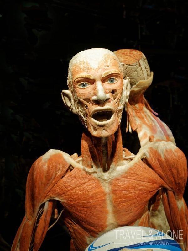 Музей человеческого тела в Амстердаме