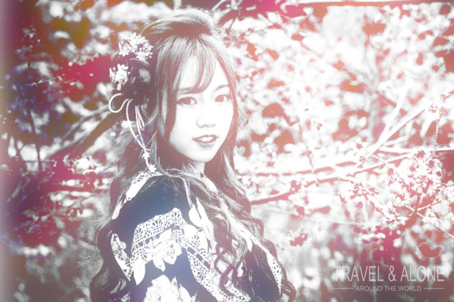 Сакура: цветущая вишня, как символ Японии